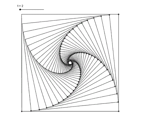 espiral equiangular