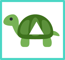tortuga