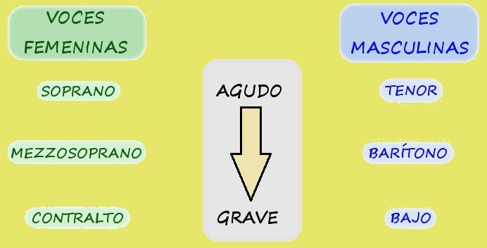 Clasificación voces