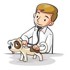 vet