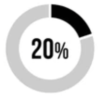 20%