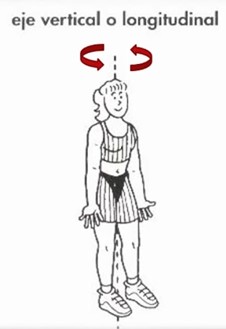 HG eje longitudinal