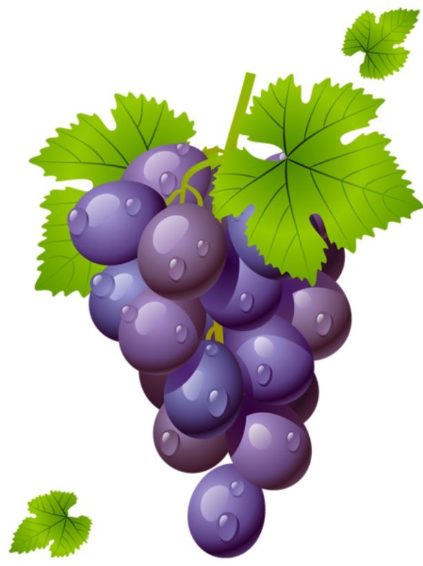 UVAS