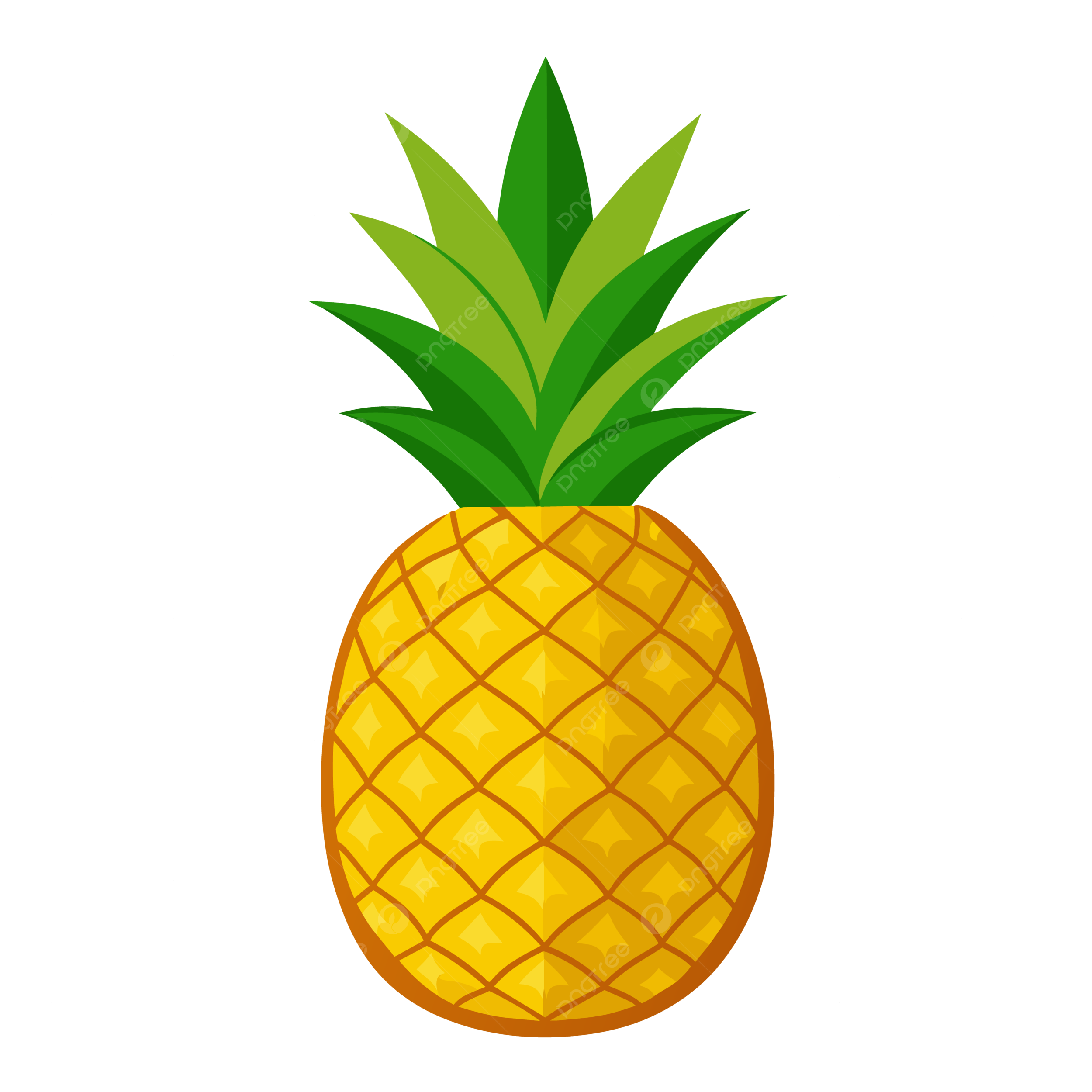 PIÑA
