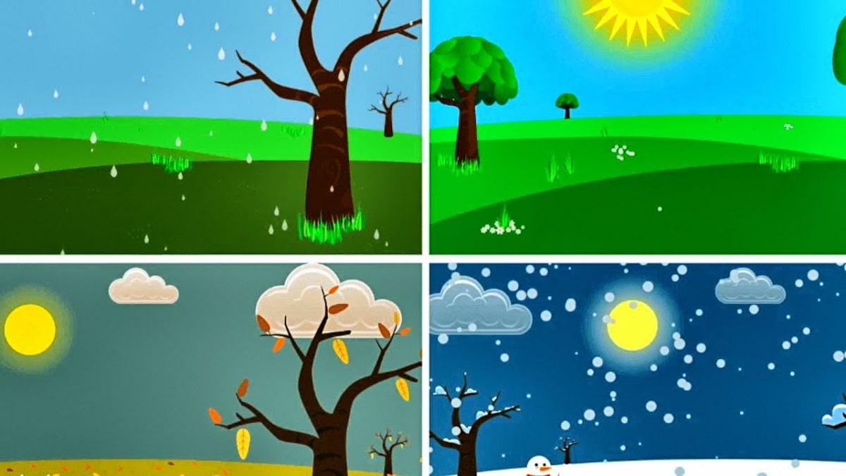 LAS 4 ESTACIONES