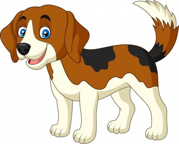 perro1