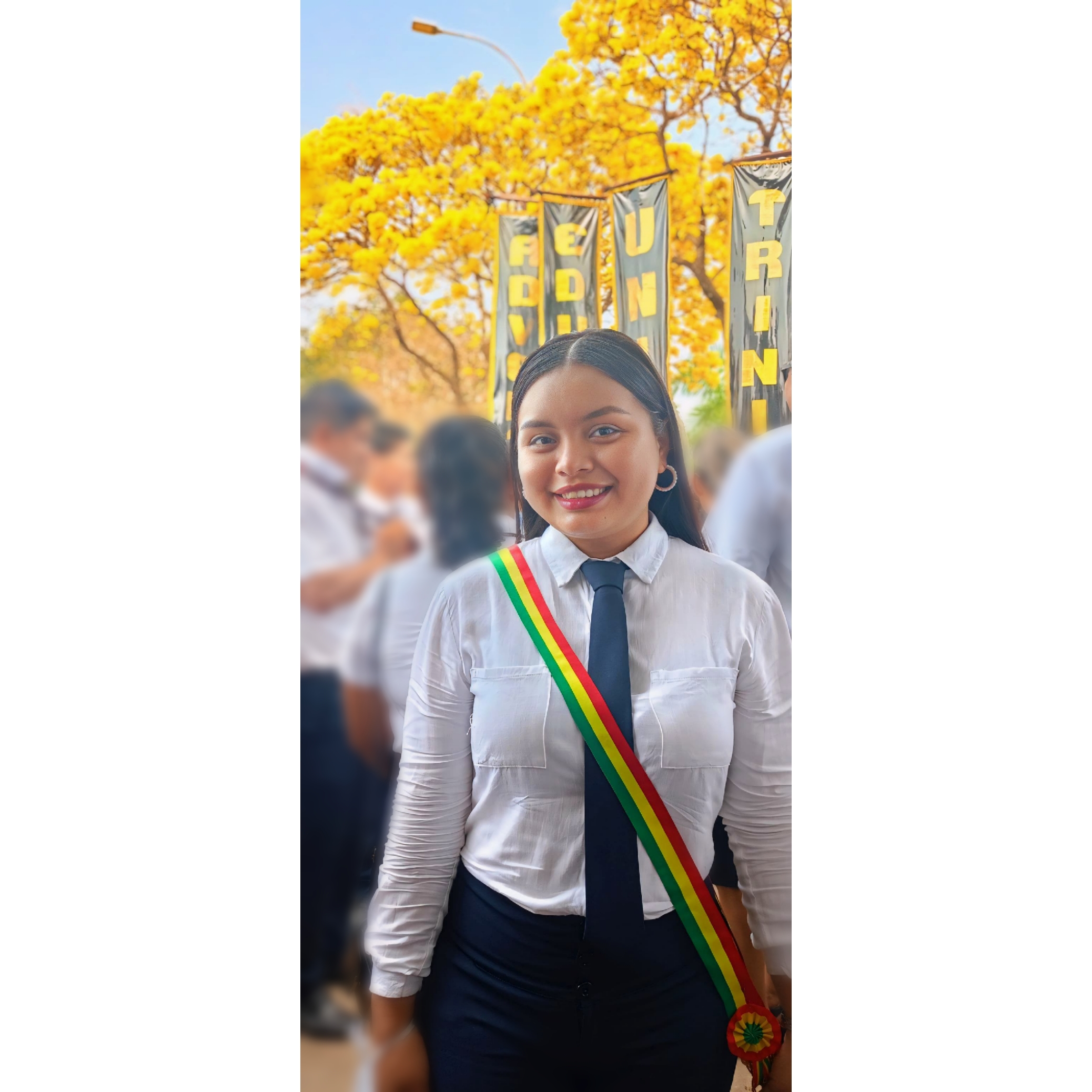 perfil 