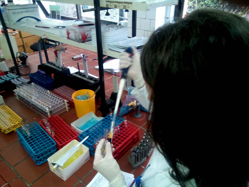 natural science