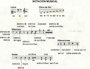 NOTACION MUSICAL