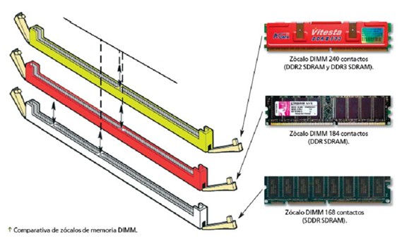 zócalos módulos DIMM RAM