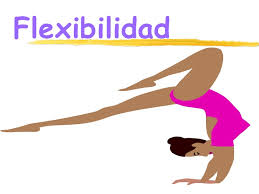 flexibilidad