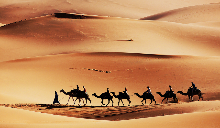 desert