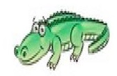 crocodile