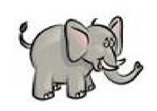 éléphant