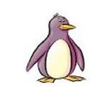 pinguoin