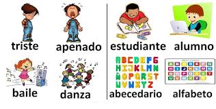 sinónimos