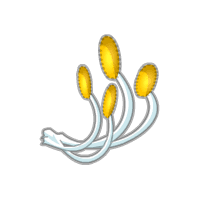 estamina