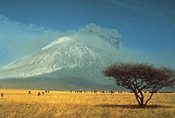 Sabana
