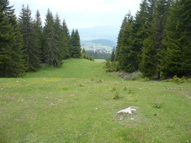 pradera