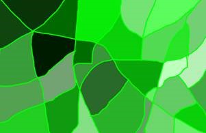 monocromía verde