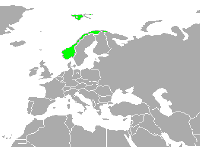 geograf