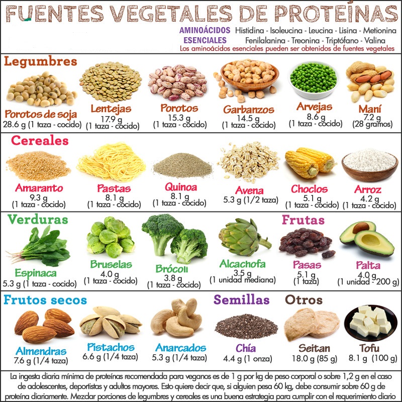 5_valor biologico alimentos