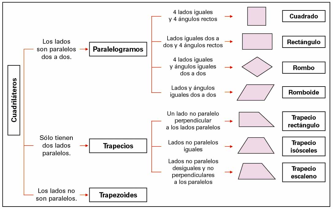 quadrilàters