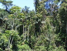  es una de las 6 regiones naturales de Colombiav