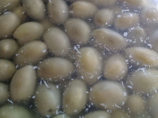 En Clases Vimos Microorganismos En La Salmuera De Las Aceitunas Que Son Isae La Rioja 7mo Grado Trivinet Trivial O