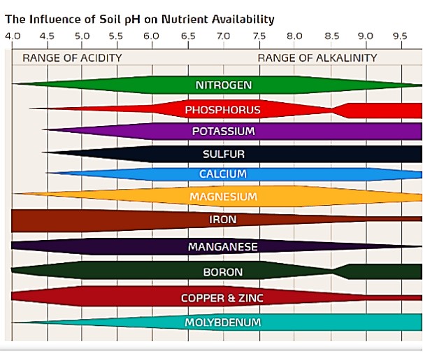 pH Suelos Nutrientes
