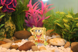 bob esponja