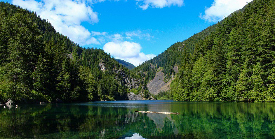 Naturaleza