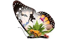 invertebrados biología.