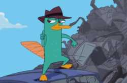 Perry orritorrinco
