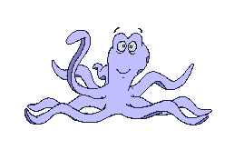 Animal invertebrado
