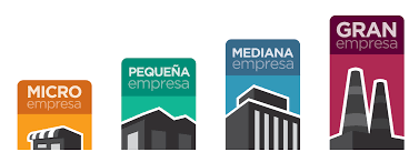 TAMAÑO DE EMPRESAS
