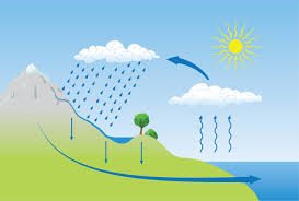 Ciclo del agua