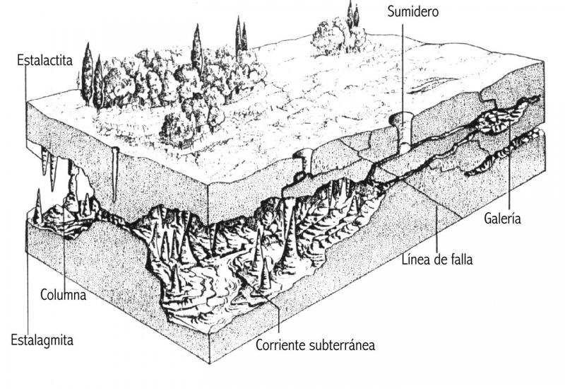 roquedo cárstico 