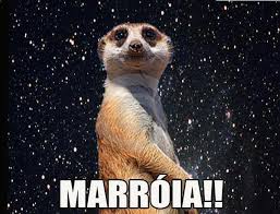 marroia