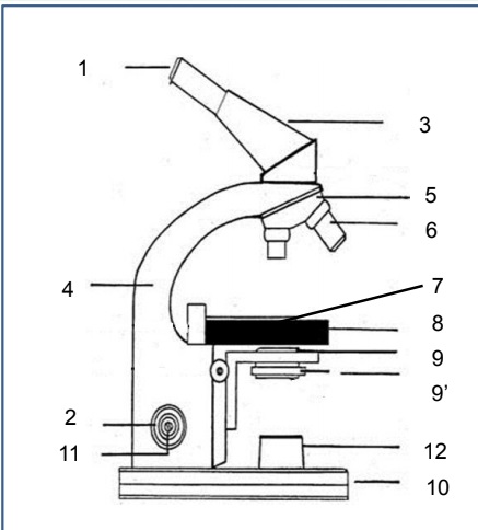 Microscopi