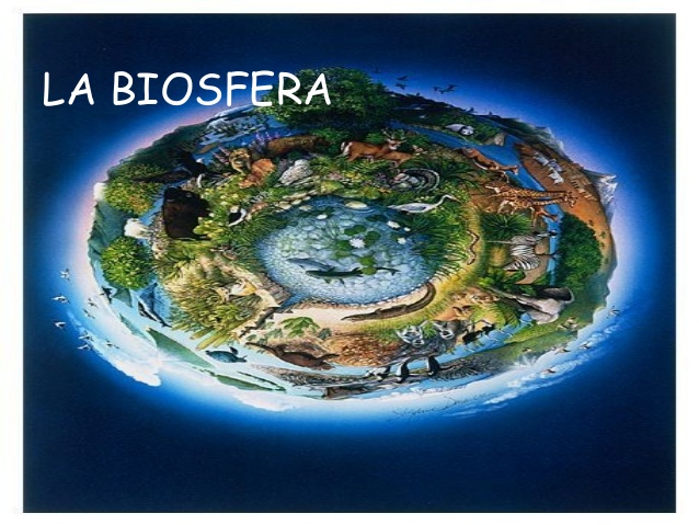 Biosfera