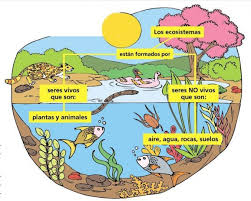 Biosfera