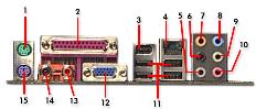 Placa base conexiones laterales numeradas
