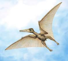 pterodáctilo