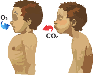 Niño respirando