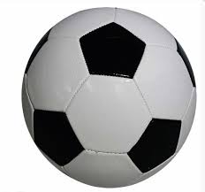 pelota