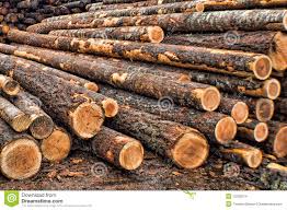 madera