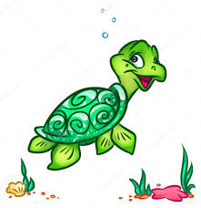 tortuga