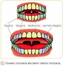 hortzak