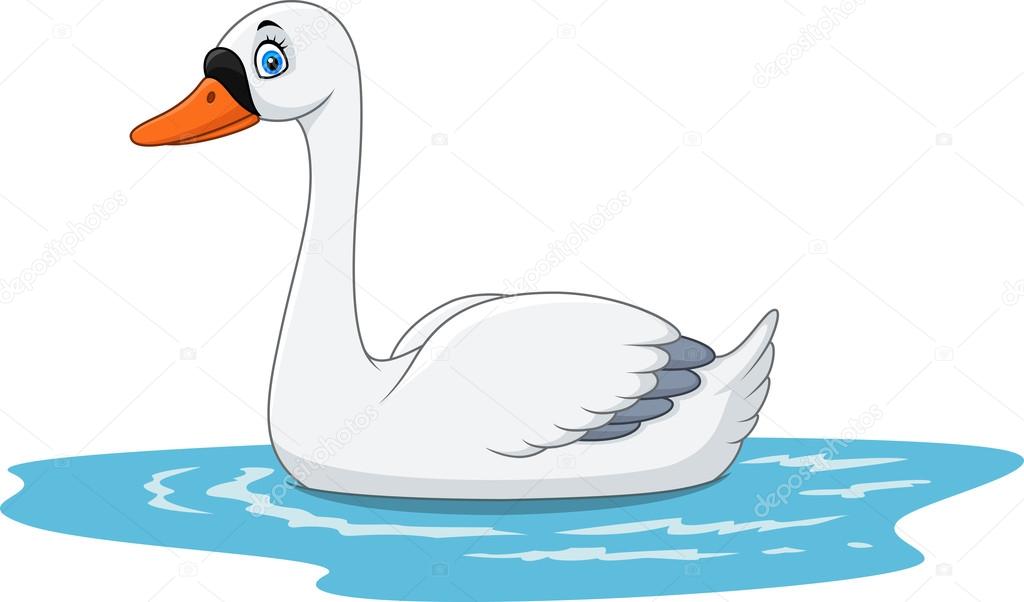 cisne
